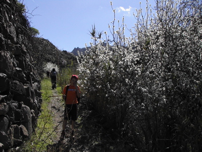 Wandern oberhalb von Tejeda